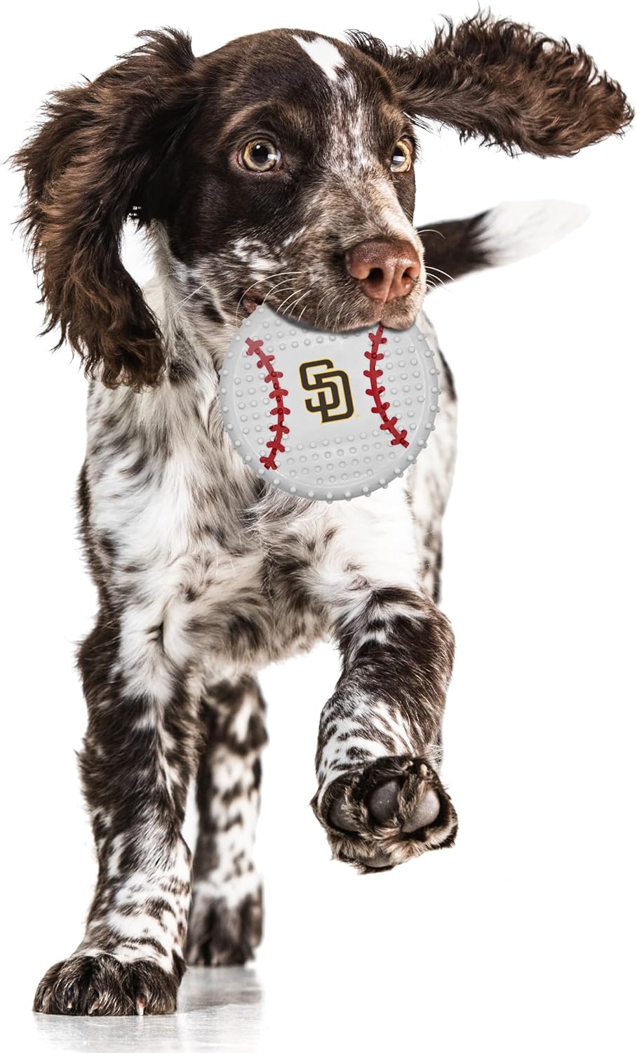 San Diego Padres Hard Nylon Baseball Chew Toy