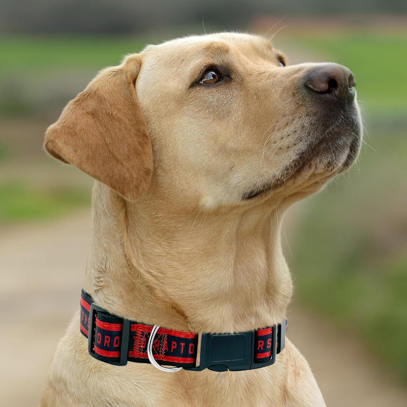 Toronto Raptors Dog Satin Collar or Leash