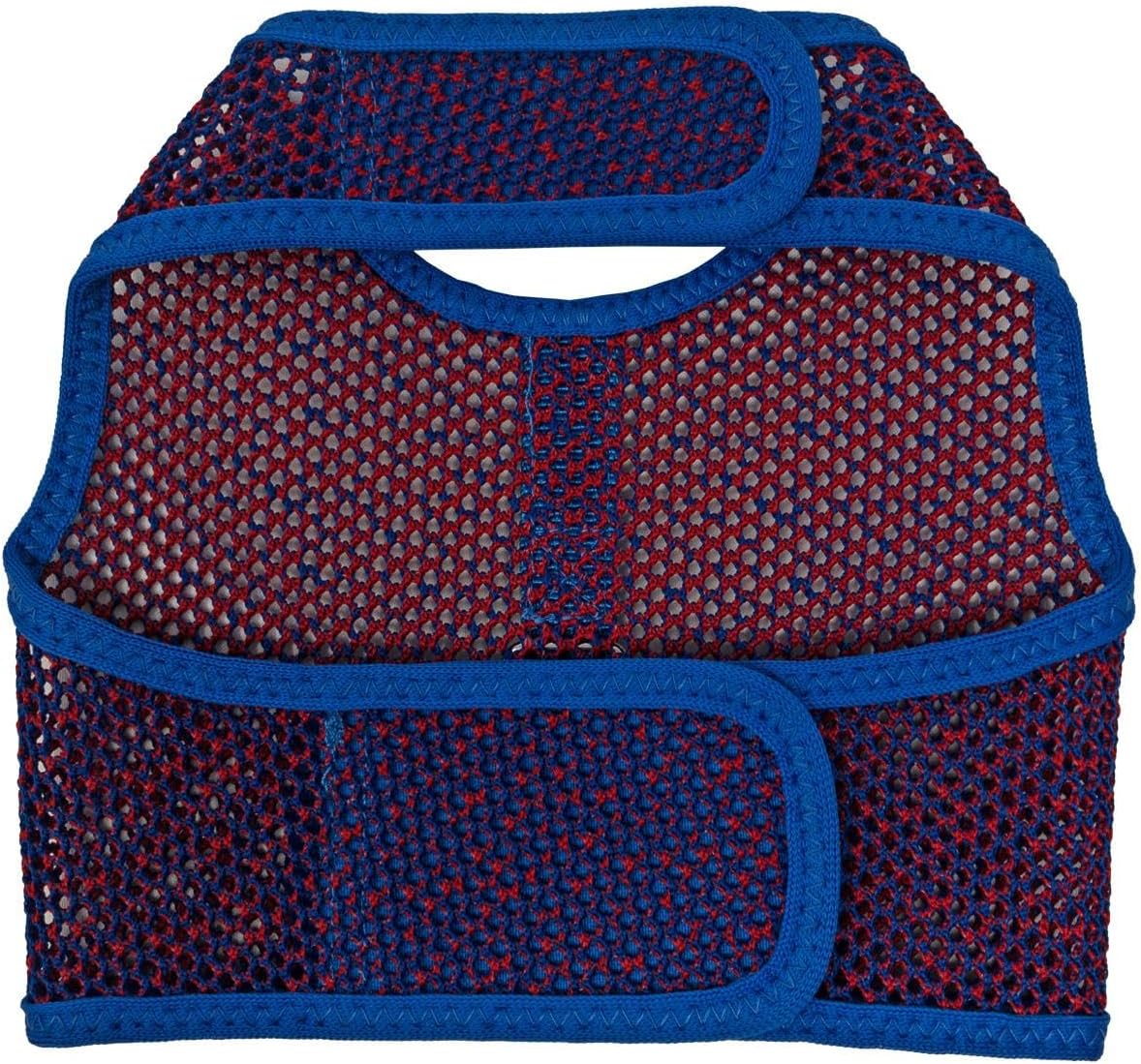 Active Mesh Pet Harness with Leash - Blue and Red