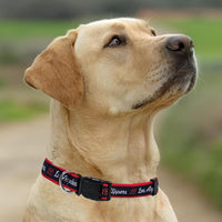 Los Angeles Clippers Dog Satin Collar or Leash