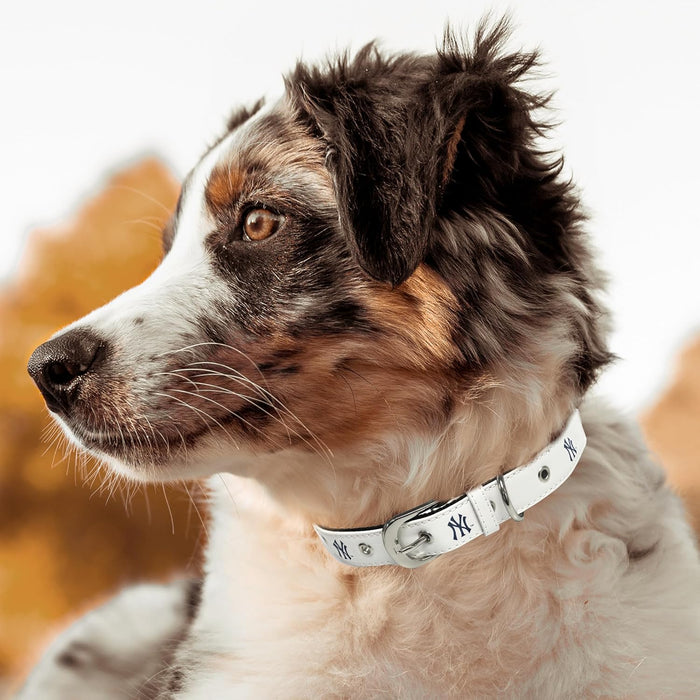 New York Yankees Pro Dog Collar