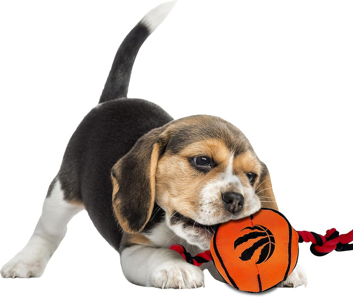 Toronto Raptors Ball Rope Toys