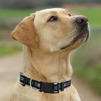 San Antonio Spurs Dog Satin Collar or Leash