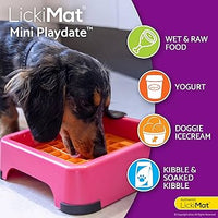 LickiMat Mini Playdate