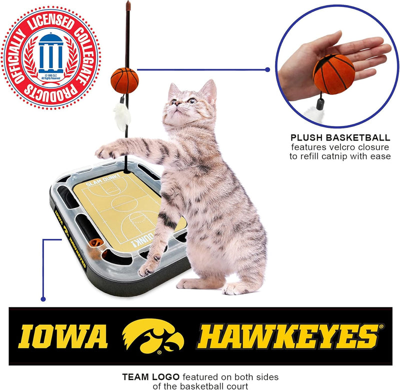 IA Hawkeyes Football Cat Scratcher Toy