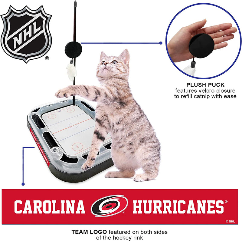 Carolina Hurricanes Hockey Rink Cat Scratcher Toy