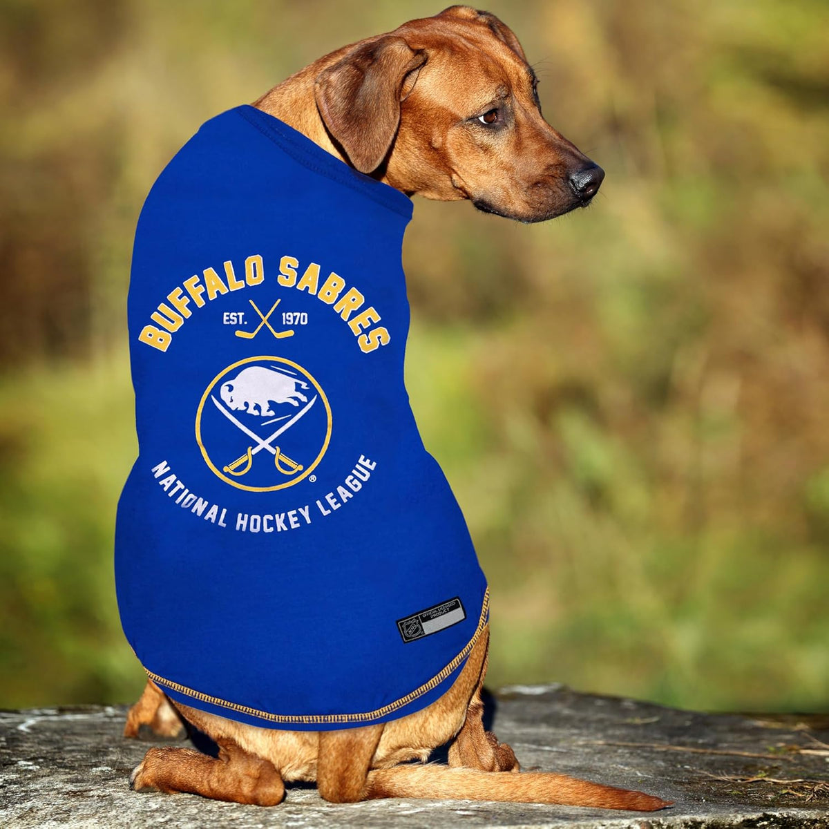 Buffalo Sabres Athletics Tee Shirt