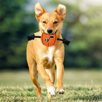 Utah Jazz Ball Rope Toys