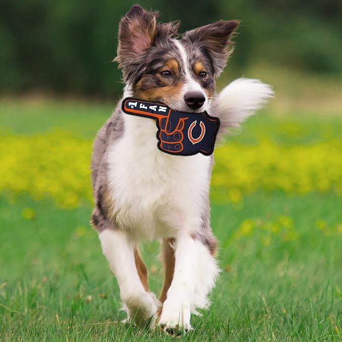 Chicago Bears #1 Fan Toys