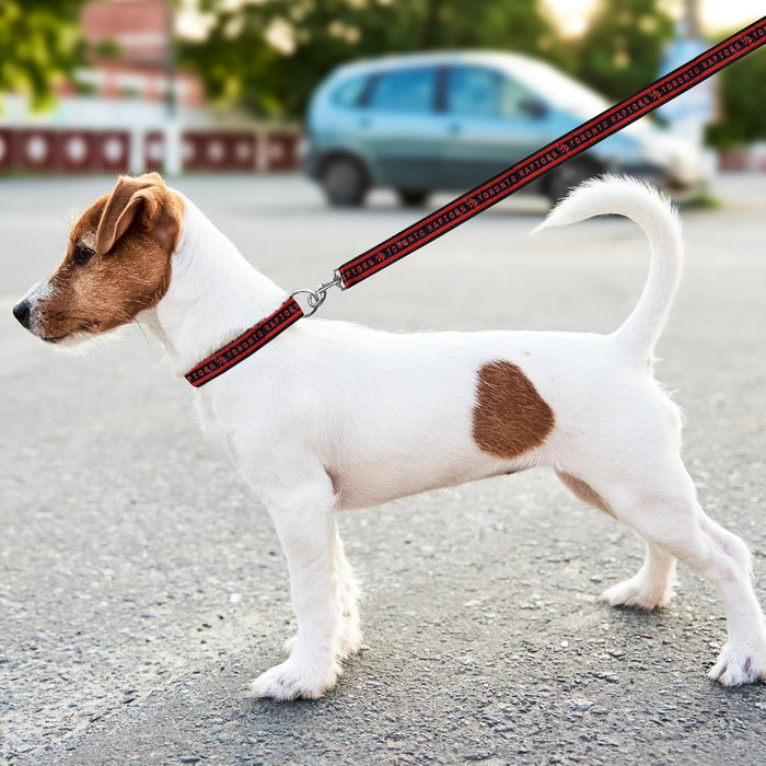 Toronto Raptors Dog Satin Collar or Leash