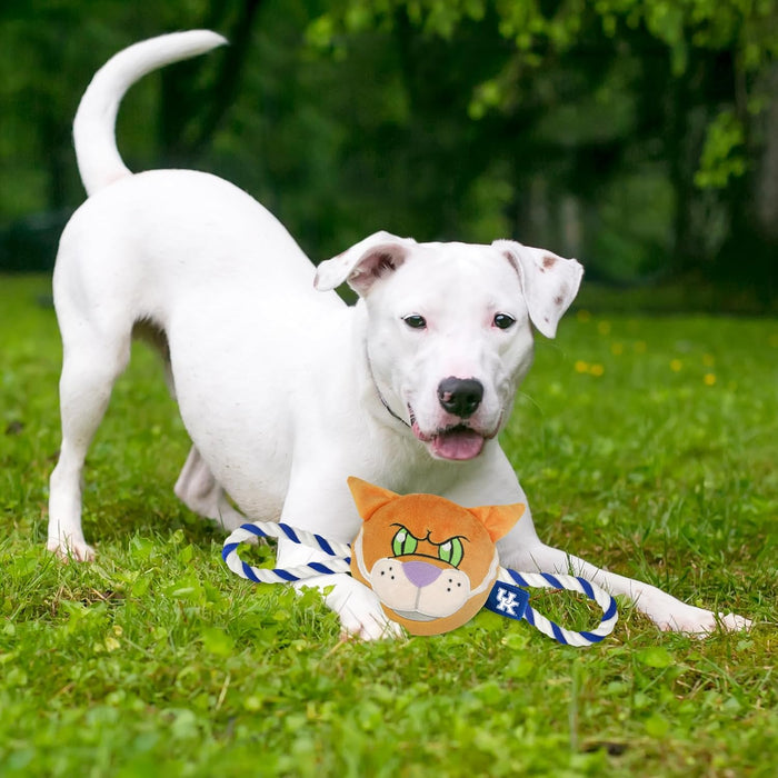 KY Wildcats Mascot Rope Toys