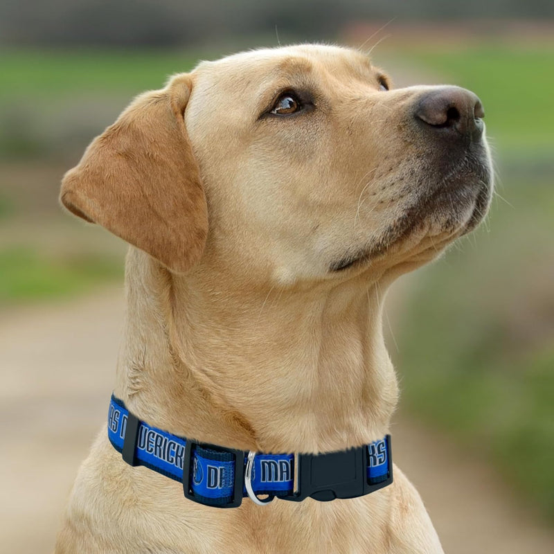 Dallas Mavericks Dog Satin Collar or Leash