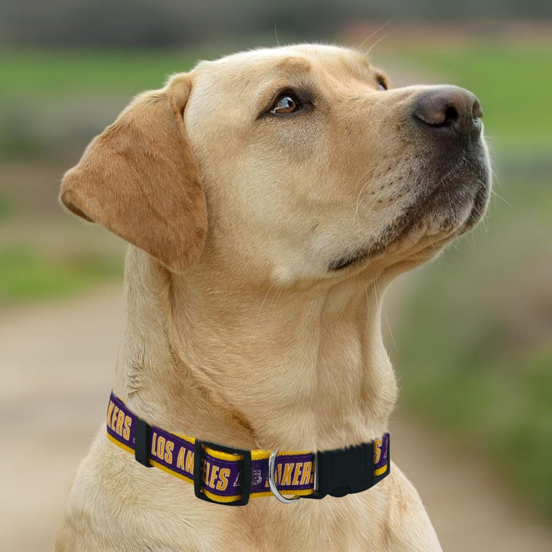 Los Angeles Lakers Dog Satin Collar or Leash