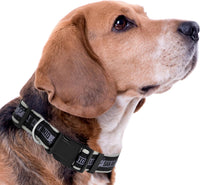San Antonio Spurs Dog Satin Collar or Leash