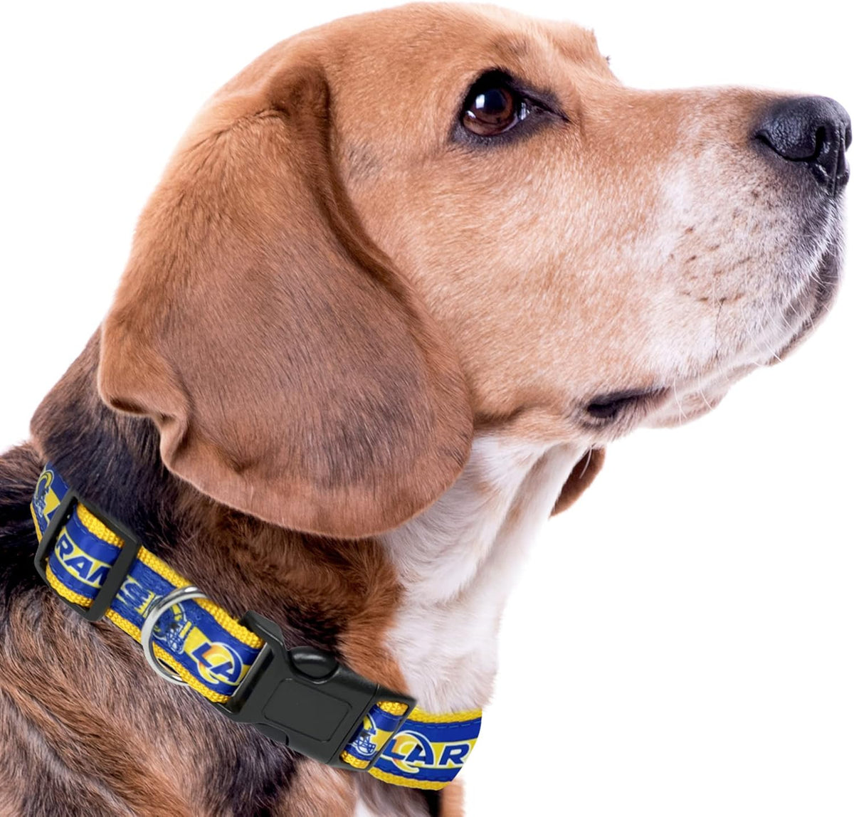 Los Angeles Rams Dog Satin Collar or Leash