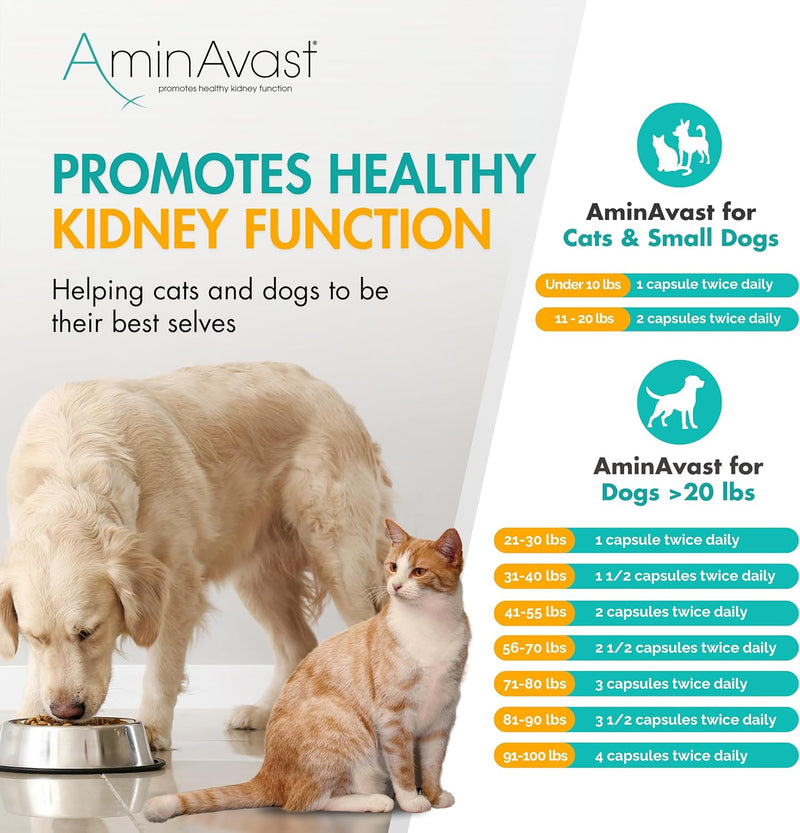 AminAvast Kidney Support for Cats, 60 capsules