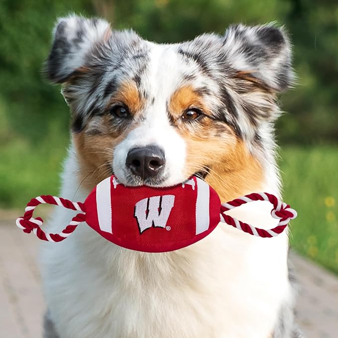 WI Badgers Football Rope Toys