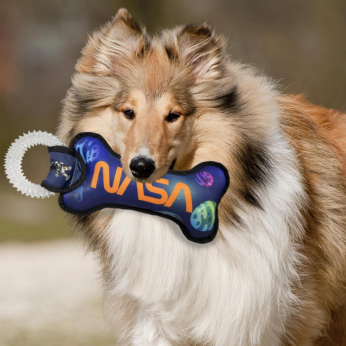 NASA Dental Tug Toys