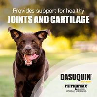 Dasuquin with MSM Joint Health Chewable Tablets - Large Dogs