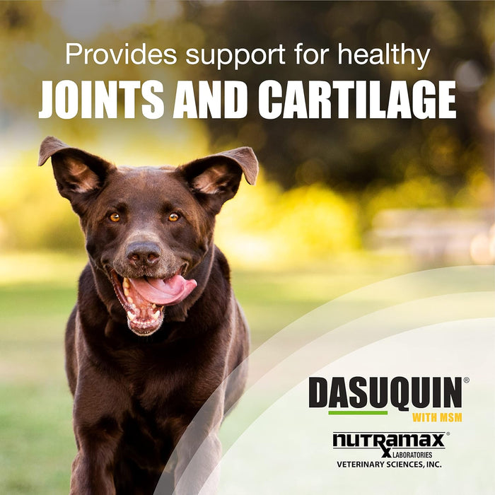 Dasuquin with MSM Joint Health Chewable Tablets - Large Dogs