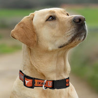 TX Longhorns Dog Satin Collar or Leash