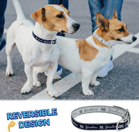 New York Yankees Reversible Dog Collar