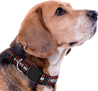 Miami Heat Dog Satin Collar or Leash