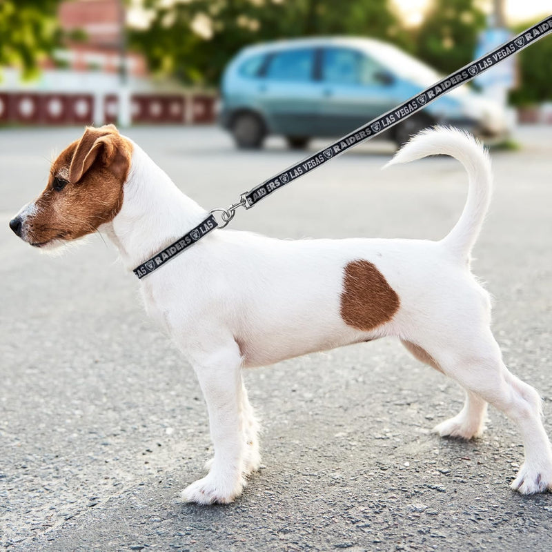 Las Vegas Raiders Dog Satin Collar or Leash