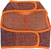 Active Mesh Pet Harness with Leash - Orange and Blue