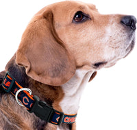 Chicago Bears Dog Satin Collar or Leash