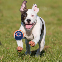 Chicago Bears Tennis Balls - 2 Pack