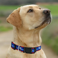 Philadelphia 76ers Dog Satin Collar or Leash