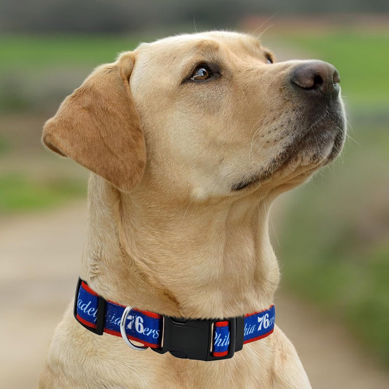 Philadelphia 76ers Dog Satin Collar or Leash