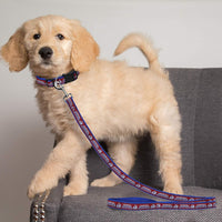 CO Avalanche Dog Satin Collar or Leash