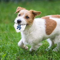 Los Angeles Dodgers Hard Nylon Home Plate Chew Toy