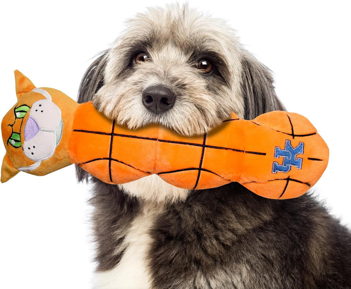 KY Wildcats Mascot Long Toys