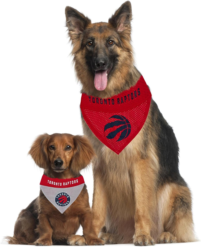 Toronto Raptors Reversible Slide-On Bandana
