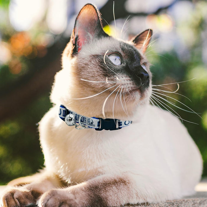 Indianapolis Colts Cat Collar