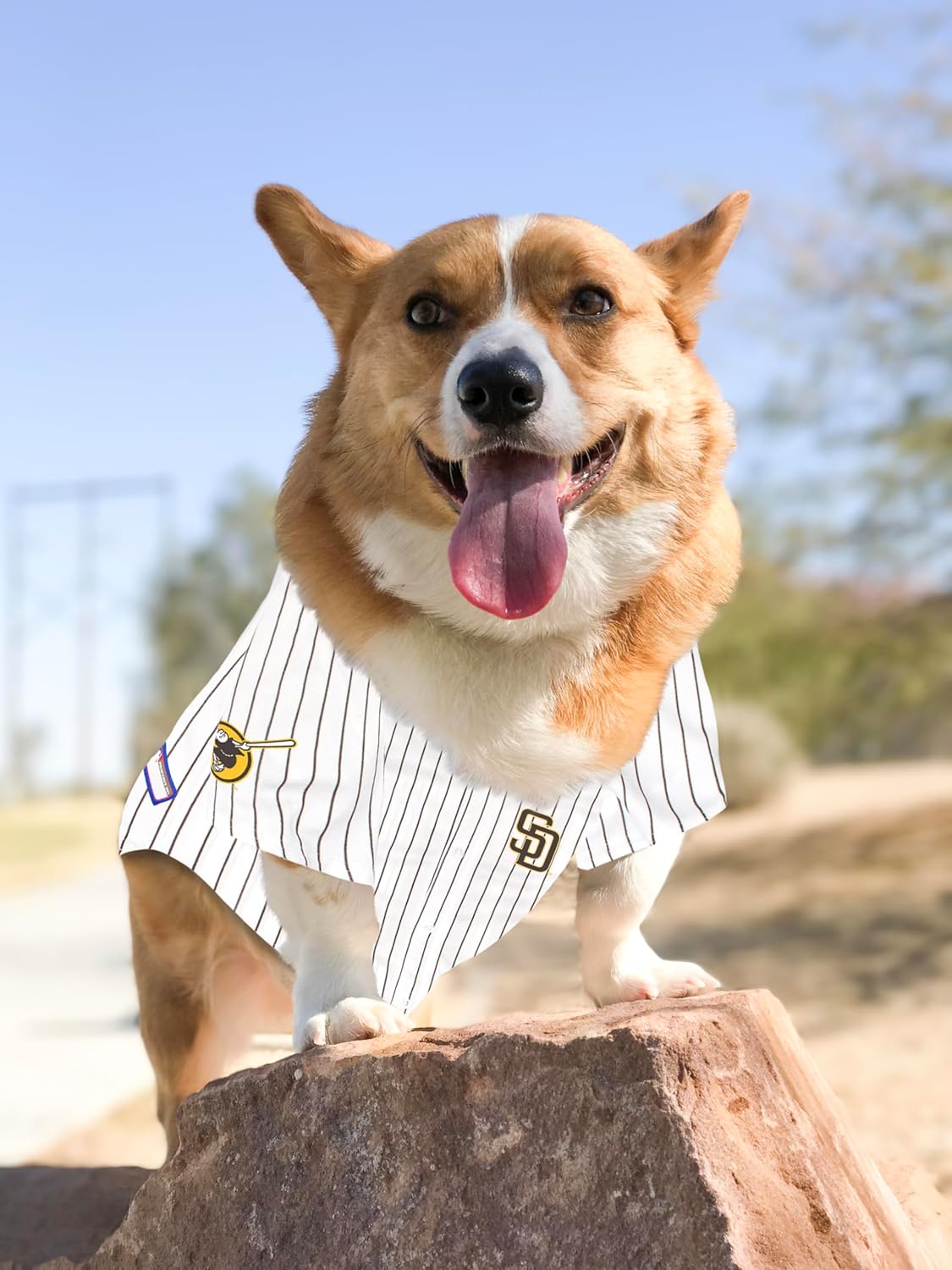 San Diego Padres Pet Jersey