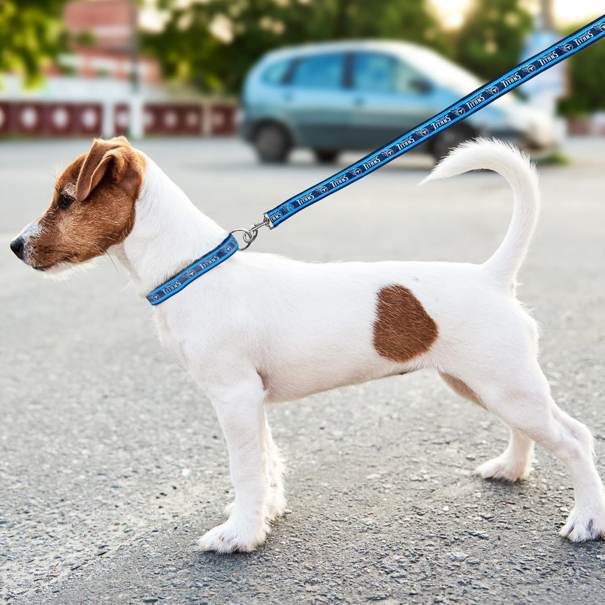 Tennessee Titans Dog Satin Collar or Leash