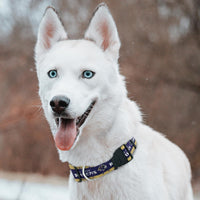 Baltimore Ravens Dog Satin Collar or Leash