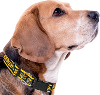 Green Bay Packers Dog Satin Collar or Leash