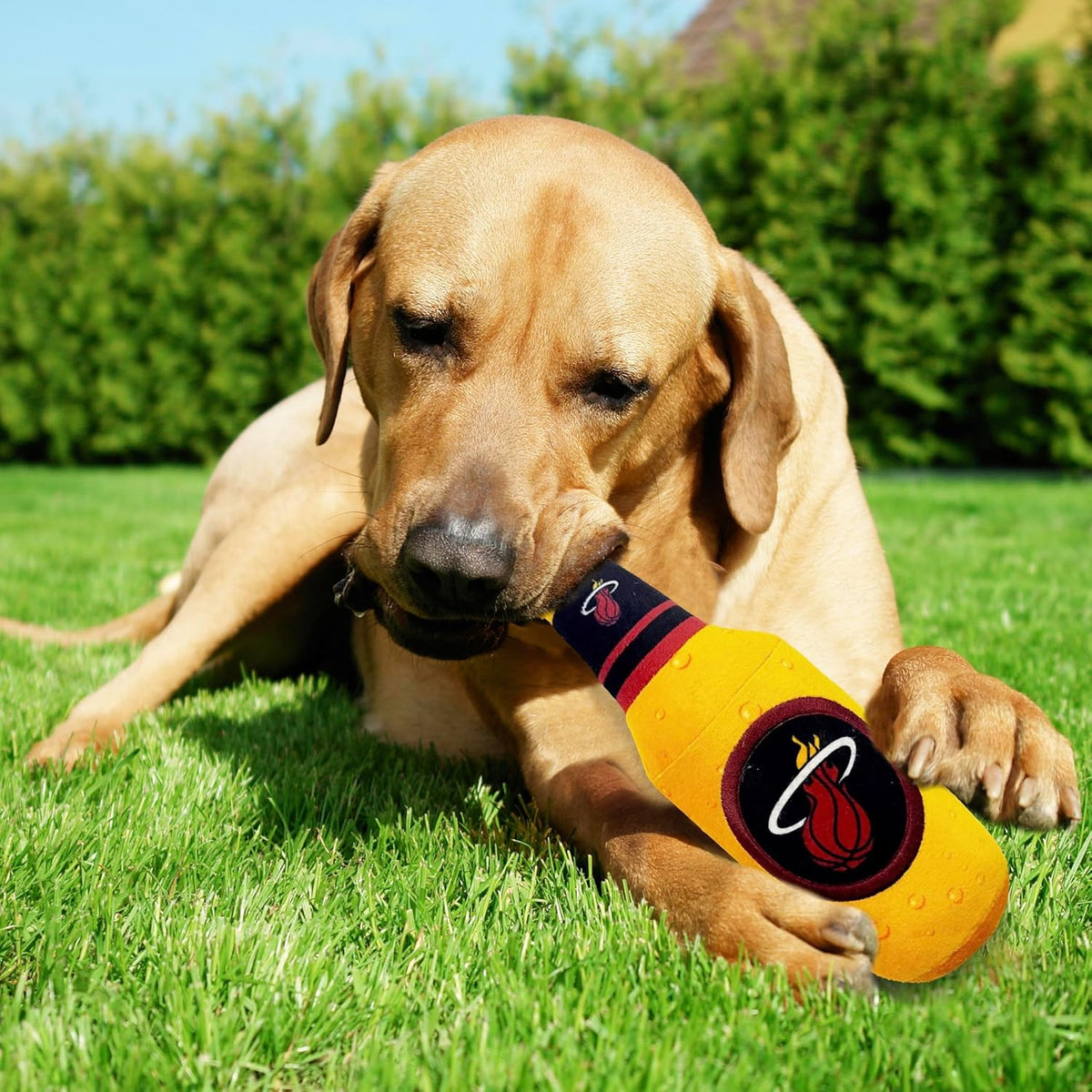 Miami Heat Bottle Plush Toys