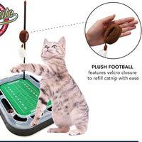 IL Fighting Illini Football Cat Scratcher Toy