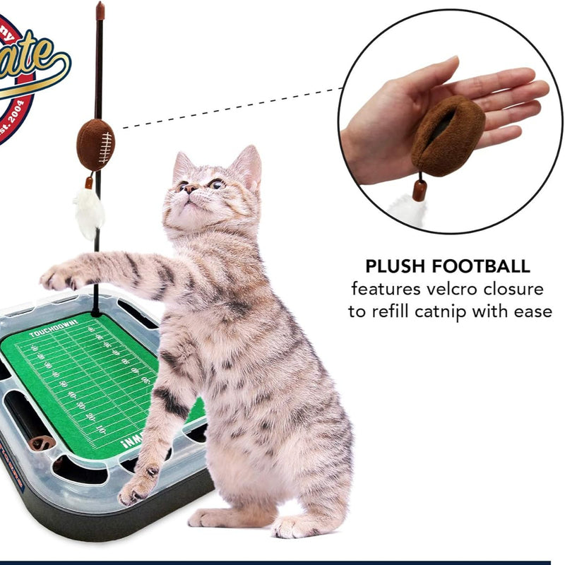 IL Fighting Illini Football Cat Scratcher Toy