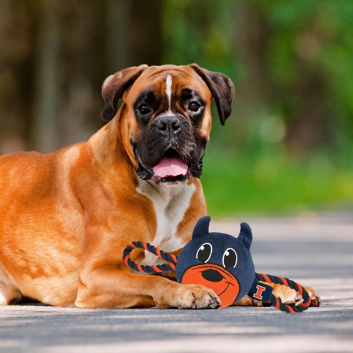 IL Fighting Illini Mascot Rope Toys