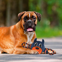 IL Fighting Illini Mascot Rope Toys