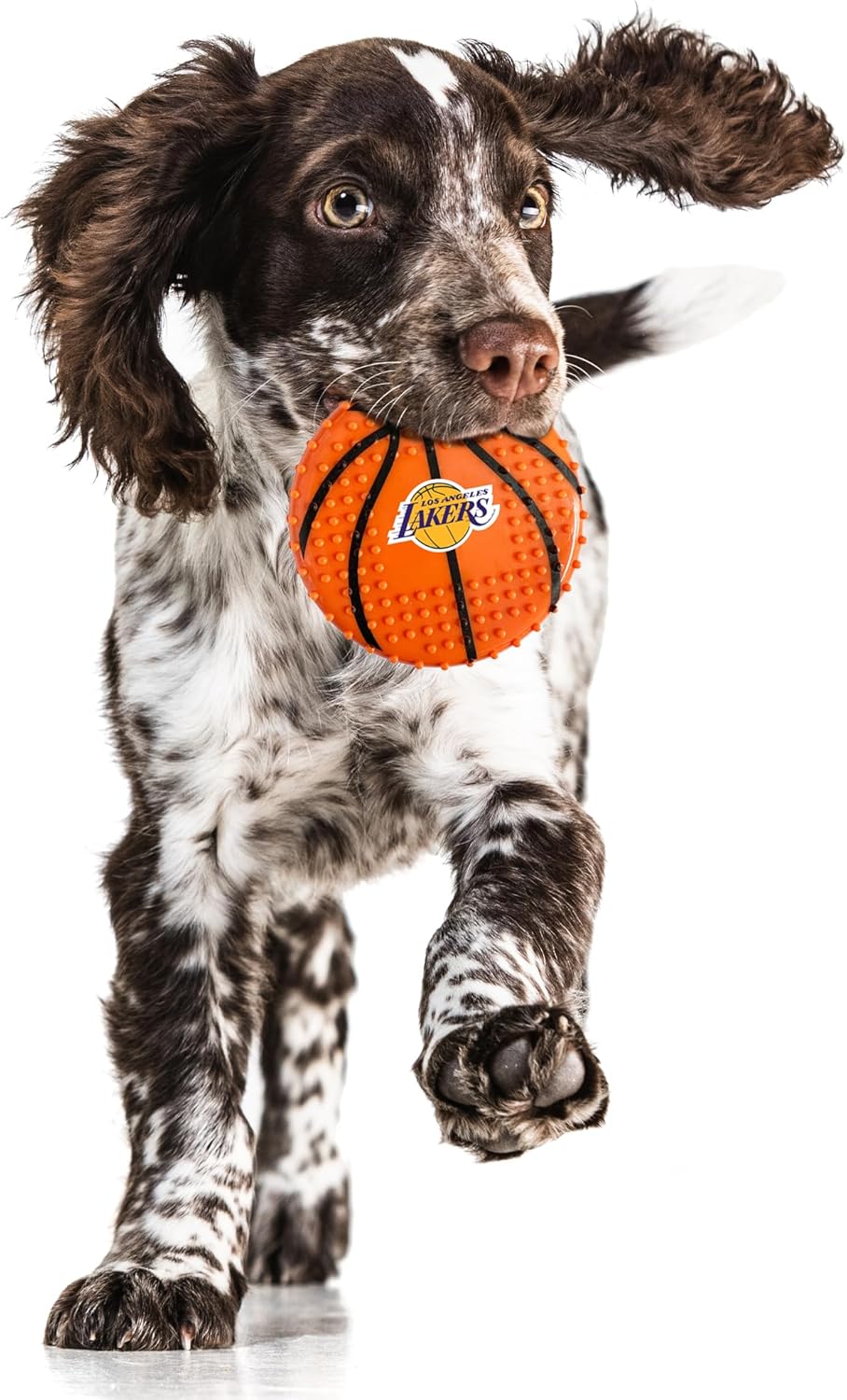 Los Angeles Lakers Hard Nylon Basketball Chew Toy