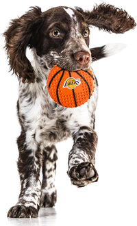 Los Angeles Lakers Hard Nylon Basketball Chew Toy