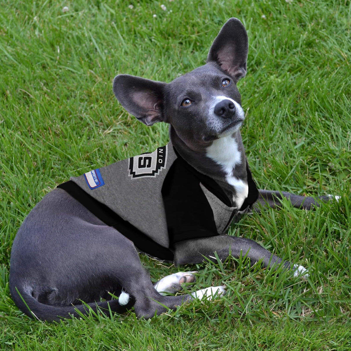 San Antonio Spurs Lightweight Pet Hoodie
